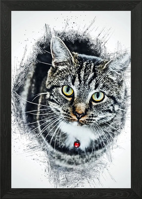 Katze niedliches Tier gerahmtes Wandbild Poster Leinwanddruck Bild
