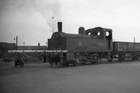 STEAM RAILWAY PHOTOGRAPH 41533 (Cat No TTPS41533) 0F 0-4-0T  Staveley 05-09-1954