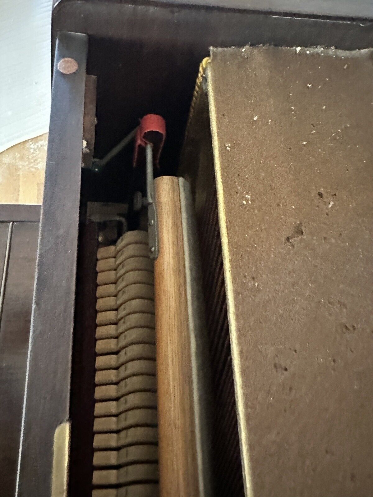 Foto 7 di 12