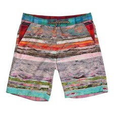 Robert Graham Board Shorts Men's 36 Drawstring Mesh Lined Beach Swim Trunks