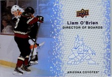 2023-24 Upper Deck Director of Boards #DB7 Liam O'Brien - HKY