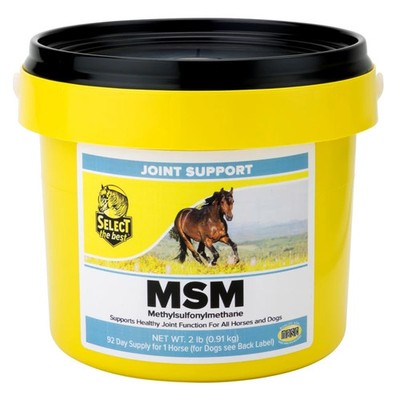 Richdel Select The Best Msm Powder 2 Lb Joint Support For Horses 2Lb