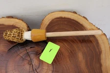 Custom Made Whitetail Deer Antler Morel Turkey Round Tip Pot Striker