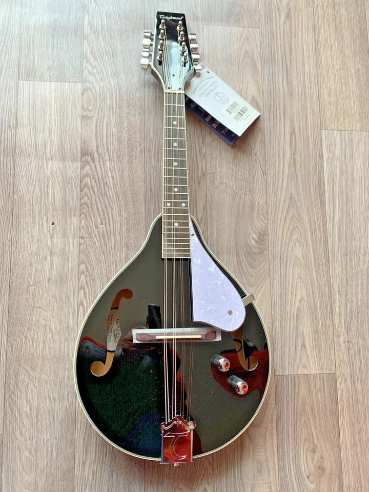 Mandolin By Tanglewood, Model TWMT BKPE Electro Acoustic, Beautiful,Sounds Great - Image 3 of 4