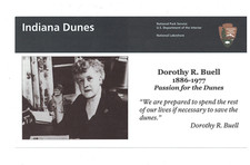 Indiana Dunes National Lakeshore National Park Service Dorothy R Buell Brochure