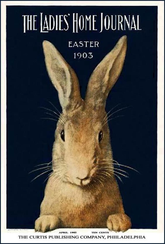 LADIES HOME JOURNAL 1900-1909 119 Select Issue Collection On USB Flash Drive - Image 4 of 4