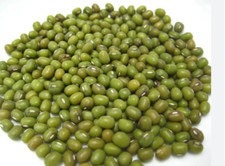 Organic dried MUNG Beans 'Green Gram' 'Moong' non-GMO-Free Shipping 850g