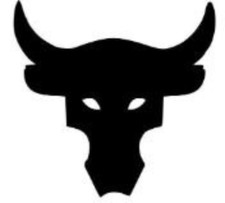 Project Rock Bull -Decal Logo Sticker