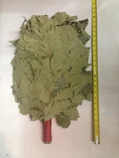 Caucasian Oak Sauna Banya Broom/Whisk.[2 pcs] Веник для бани кавказский Дуб 2025