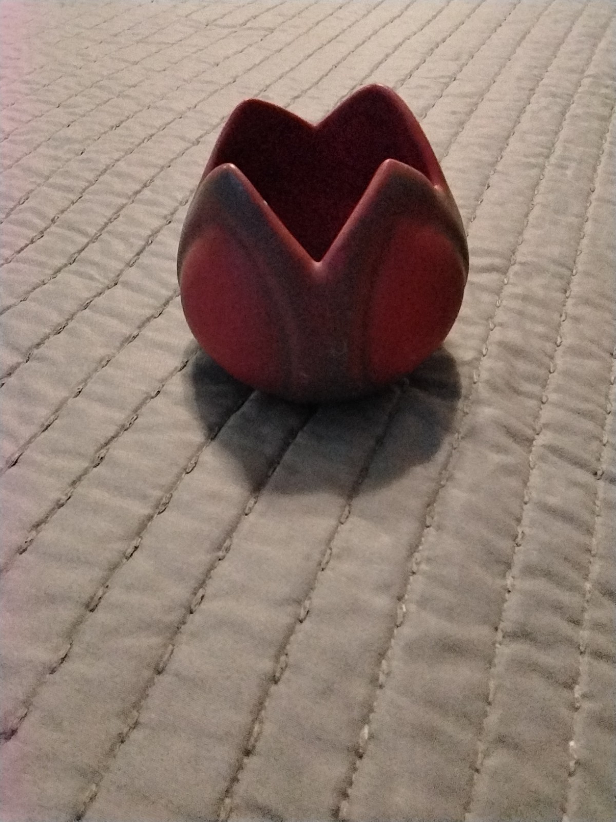 Picture 6 of 11