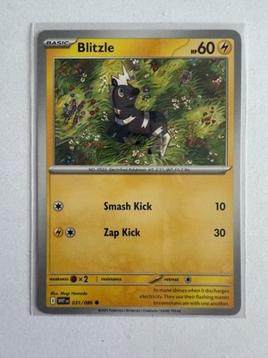 Pokemon TCG Scarlet & Violet White Flare Blitzle 031/086  