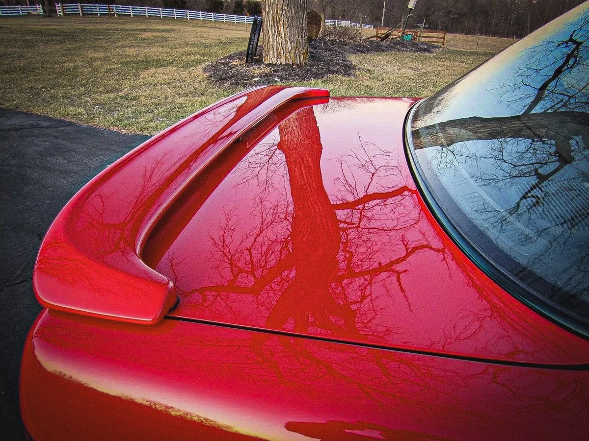 Click photo thumbnail to view