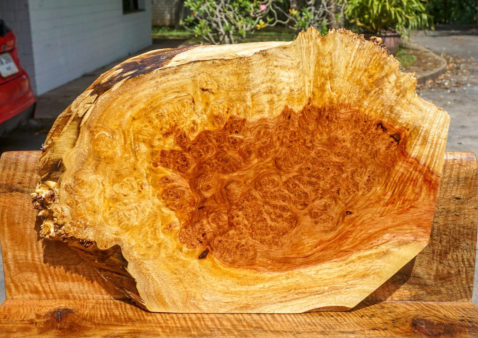 Amboyna burl live edge wood slab for epoxy resin table top DIY-image