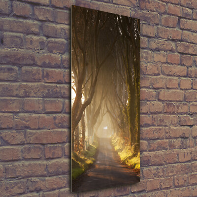 Wandbild Druck auf Plexiglas  Acryl Hochformat 50x125 Pfad im Wald