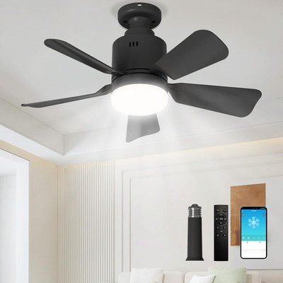 Socket Fan Light with Remote & APP, 17.7'' Socket Ceiling Fan with Socket Extend