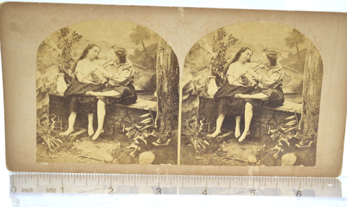Seltene Stereographie aus dem 19. Jahrhundert - Frauen lieben Waldmusik Gay Interest - Bild 2 von 3