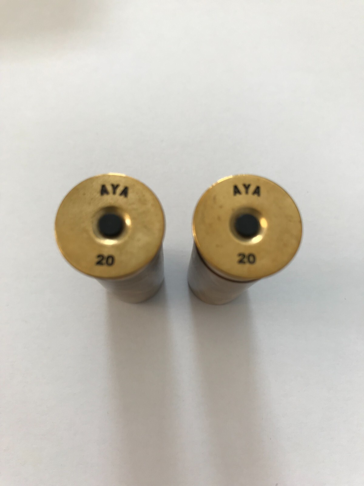 High Class Quality 20 gauge snap caps (AYA) Shotgun Logo (Spalted Box