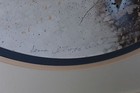 Picture 4 of 7