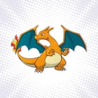 Charizard Puzzle - Pokémon
