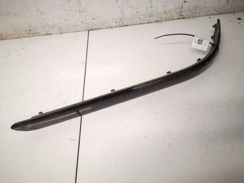 Rear bumper trim bar molding