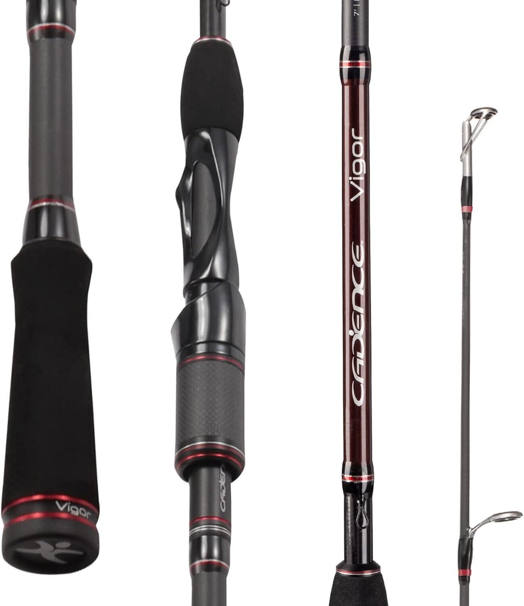 Cadence Vigor Spinning Rod, 30-Ton Carbon Blank, Fuji Reel Seat, Durable  Stainle