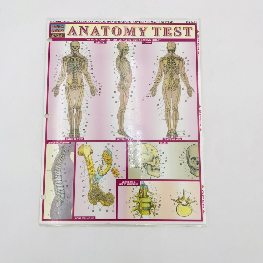 Anatomy Test Tri-Fold Laminated Study Guide for Major Systems Quick Study Aide