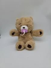 Little Live Pets 10” Cozy Dozy Cubbles The Bear Soft Cuddly Sounds Pink Pacifier