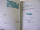 Picture 7 of 8