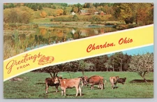 Greetings from Chardon Ohio Vintage Photochrome Postcard Cows Pond