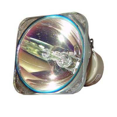 Philips E20.9i 270W/220W 0.8 IC AC Bare Projector Lamp (9284 429 05390)