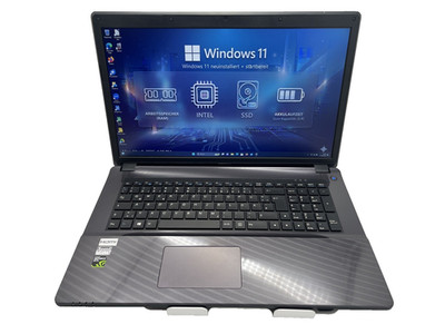 One Clevo | 15,6'' | WIN 11 | i3-6100H + NVIDIA GTX 950M | 240GB SSD | 4GB DDR3