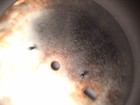 Picture 3 of 4