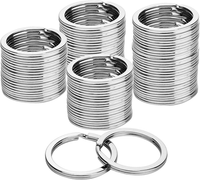 100 StüCk SchlüSselanhäNger Ringe, SchlüSselringe 30Mm Schlusselringe Set, Schlü