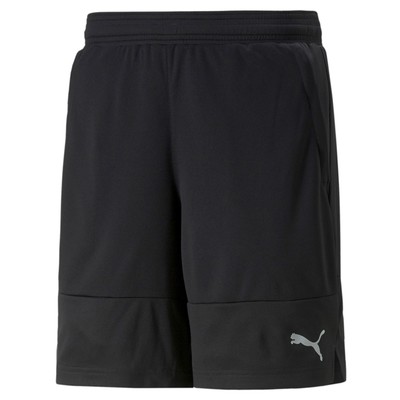 Puma Herren Short TRAIN ALL DAY 8  Short 522341