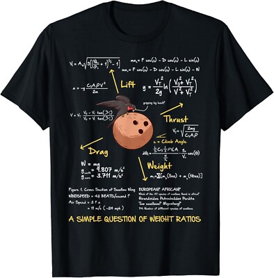 A Simple Question Of Weight Ratios Funny Math Tee Gift Unisex T-Shirt