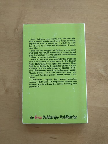 Womens Passion Prison by Jack Warren. 1971 pulp fiction/erotica. Hard To Find - Picture 3 of 5