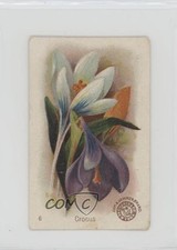 1895 Arm & Hammer Beautiful Flowers Crocus #6 0f8