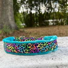 1 inch wide Soft Padded Minky Martingale Dog Collar - Rainbow Neon Leopard Print