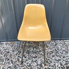 Vintage MCM Mid Century Modern Mustard Yellow Molded Fiberglass Adult Chair