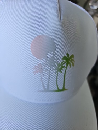 Casquette de baseball graphique Aerie - Photo 4/11