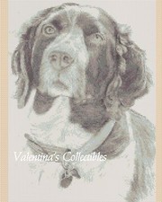Springer Spaniel Dog Counted Cross Stitch Chart No. 2-BW10 