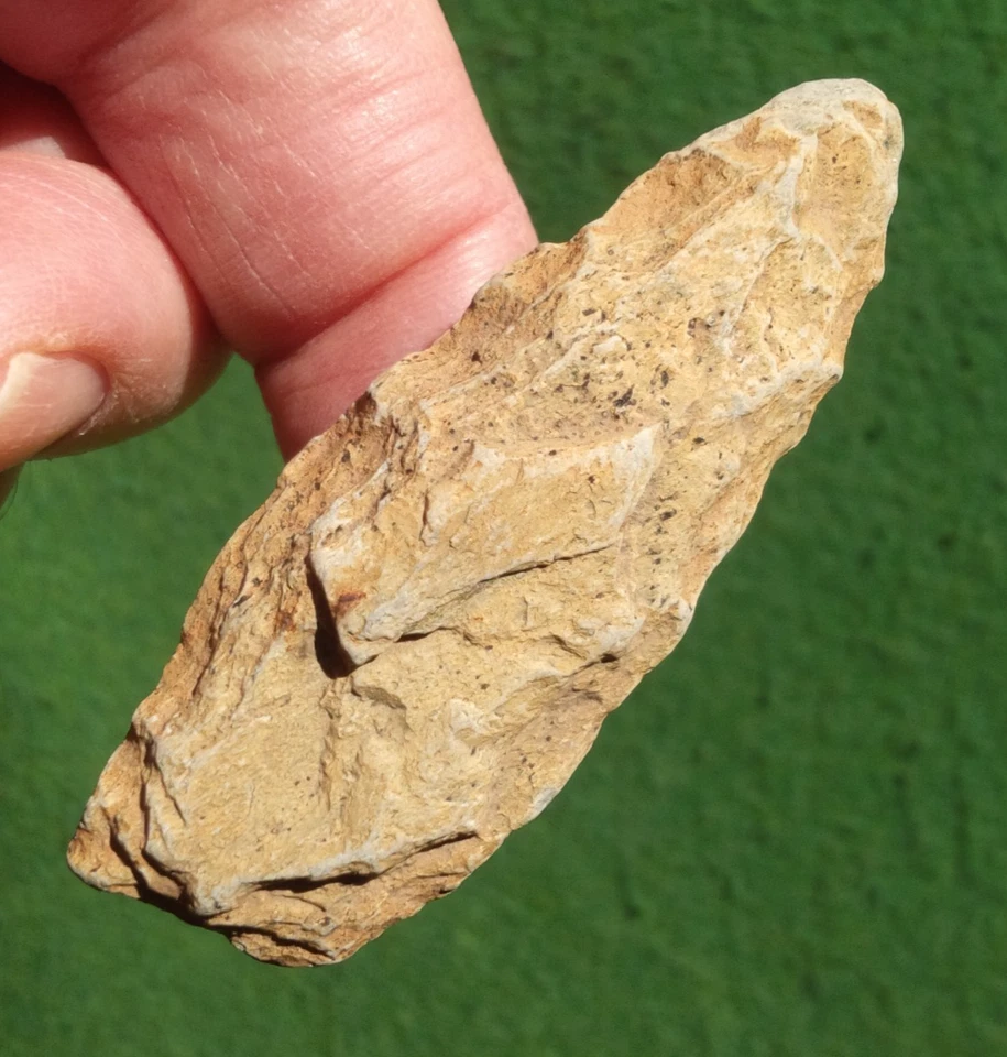 Punta de proyectil auténtica 2-9/16" PALEO SUWANNEE MANATÍ CO. FLORIDA Foto 2 de 4