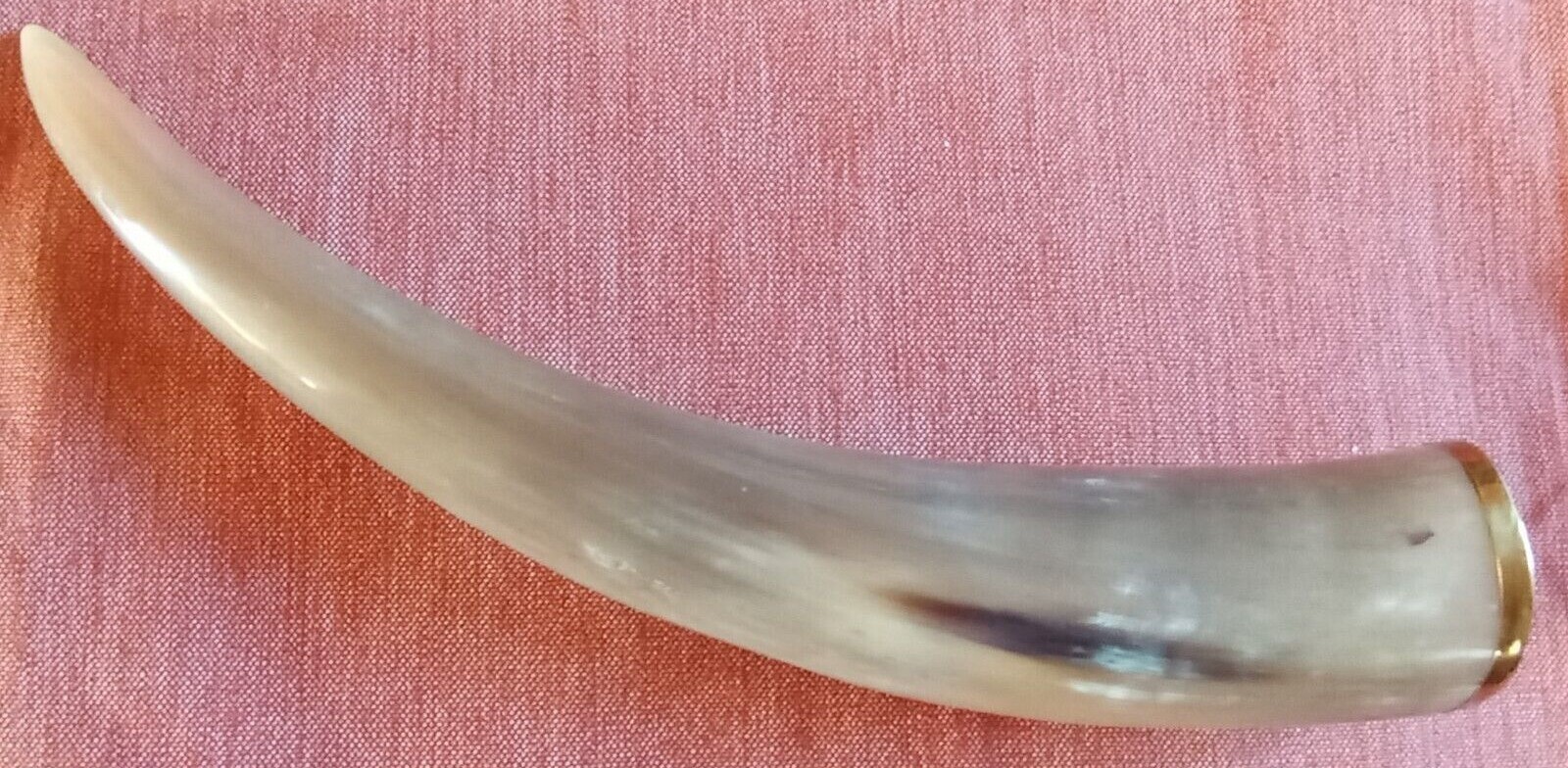 15 inches horn maybe MOUNTED STEER HORNS eBay