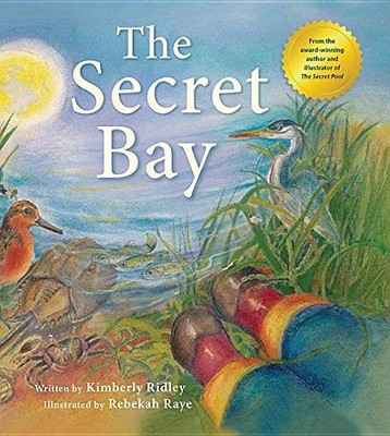 THE SECRET BAY (TILBURY HOUSE NATURE BOOK) By Kimberly Ridley & Rebekah Raye NEW