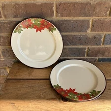Enamelware Plates Christmas Poinsettia Set Of 2 Unbranded 11 Inch