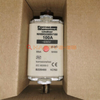 1PCS Ferraz Shawmut Sicherung 100A 690V NH00GG69V100 Neu