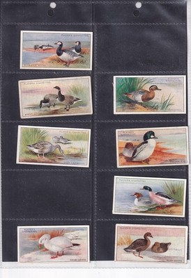 SPIELER - SPIEL VÖGEL & GEFLÜGEL - TYPKARTE VON 1927 - NR. 13 GOLDEN-EYE