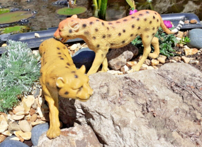 Ein Paar Geparden realistische gefährdete Wildtiere .Sammlerstück 17 cm lang