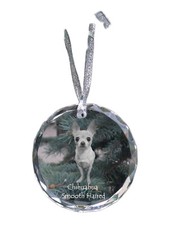Chihuahua à poil long médaille en cristal avec un chien Art-Dog