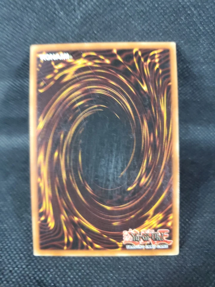 Petition Angel LDD-S025 Common 1st Edition Spanish NM-VLP YuGiOh! TCG SEE PICS - Image 4 of 4